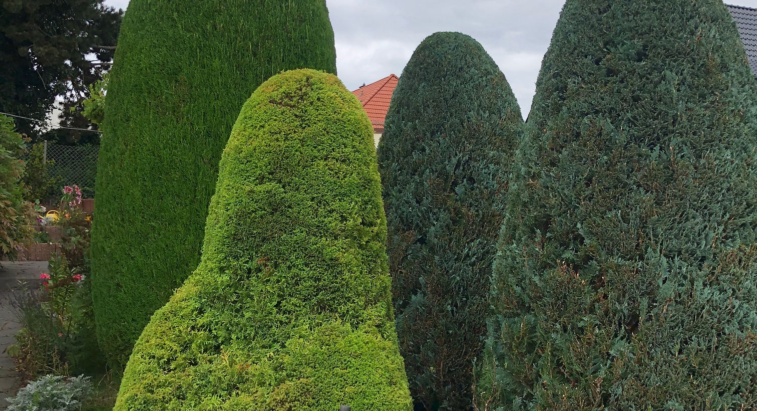 Mauerbau, Gartenpflege, Grünparadies, GLG Grün, Grünpflege, Landschaftsbau