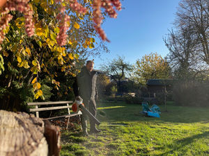 Laubbeseitigung, Rasen mähen, Garten- & Landschaftsbau, Grünparadies Zwickau
